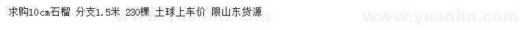 求購10公分石榴
