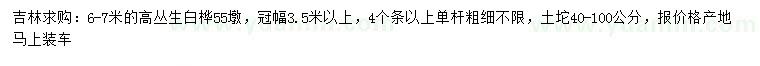 求購(gòu)高6-7米叢生白樺