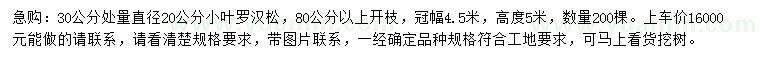 求購30公分處量直徑20公分小葉羅漢松