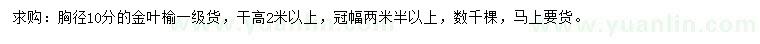 求購胸徑10公分金葉榆