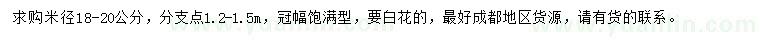 求購米徑18-20公分櫻花