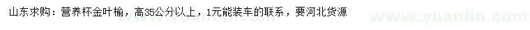 求購高35公分以上金葉榆