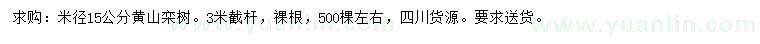 求購米徑15公分黃山欒樹