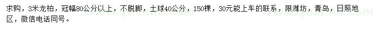 求購(gòu)3米龍柏