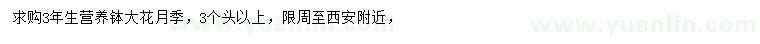求購3年生大花月季