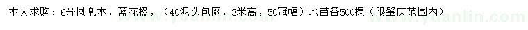 求購6公分鳳凰木、藍花楹
