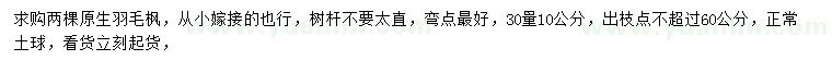 求購30量10公分羽毛楓