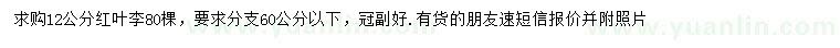 求購12公分紅葉李