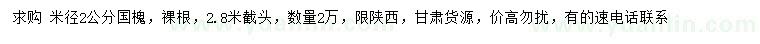 求購米徑2公分國槐