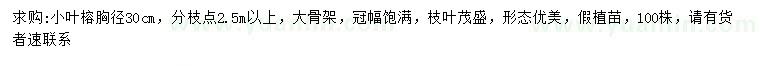 求購胸徑30公分小葉榕