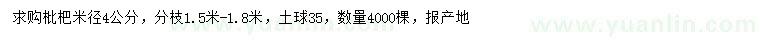 求購米徑4公分枇杷