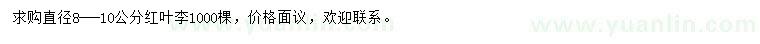 求購直徑8-10公分紅葉李
