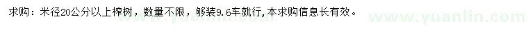 求購米徑20公分以上榨樹