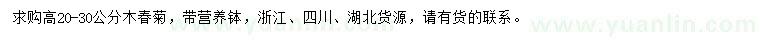 求購高20-30公分木春菊