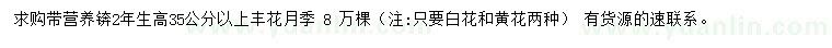 求購高35公分以上豐花月季
