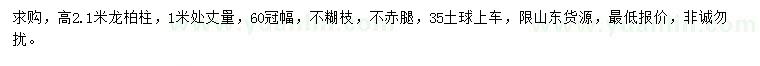 求購高2.1米龍柏柱