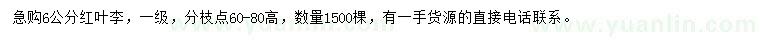 求購6公分紅葉李