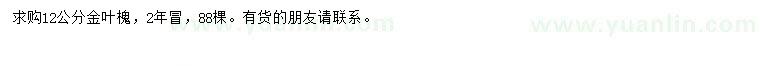 求購(gòu)12公分金葉槐