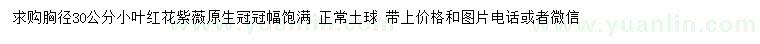 求購(gòu)胸徑30公分小葉紅花紫薇