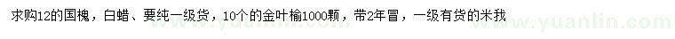 求購國槐、白蠟、金葉榆