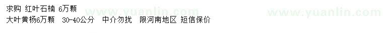 求購紅葉石楠 、30-40公分大葉黃楊