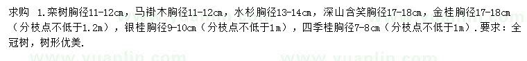 求購欒樹、馬褂木、水杉等