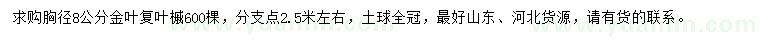 求購(gòu)胸徑8公分金葉復(fù)葉槭