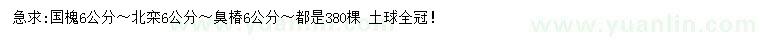 求購國槐、北欒、臭椿