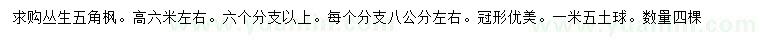 求購高6米五角楓