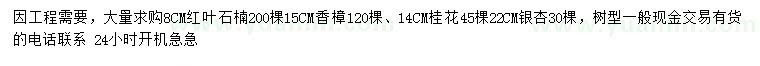 求購(gòu)紅葉石楠、香樟、桂花等