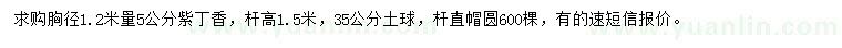 求購胸徑1.2米量5公分紫丁香