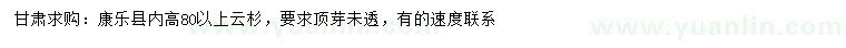 求購高80公分以上云杉