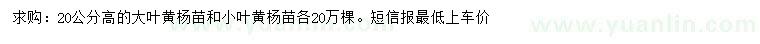求購高20公分大葉黃楊、小葉黃楊