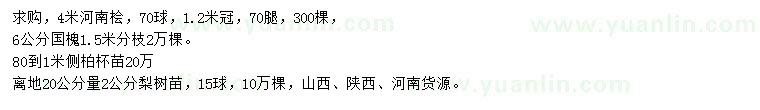 求購河南檜、國槐、側(cè)柏等
