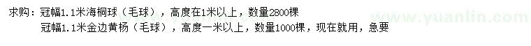 求購冠幅1.1米海桐球、金邊黃楊