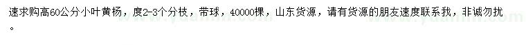 求購(gòu)高60公分小葉黃楊