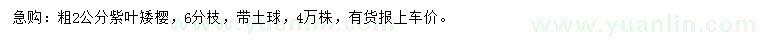 求購(gòu)2公分紫葉矮櫻