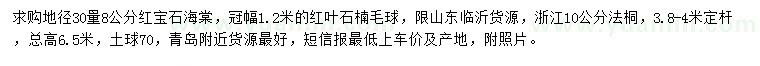 求購紅寶石海棠、紅葉石楠毛球、法桐