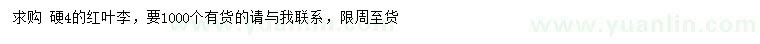求購(gòu)4公分紅葉李