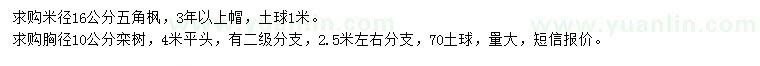 求購米徑16公分五角楓、胸徑10公分欒樹