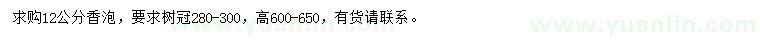 求購12公分香泡