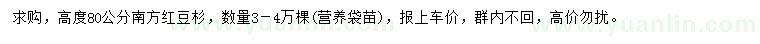 求購高度80公分南方紅豆杉
