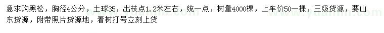 求購胸徑4公分黑松
