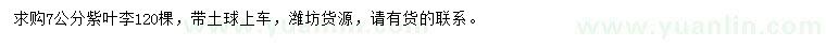 求購7公分紫葉李