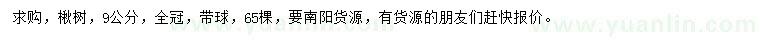 求購9公分楸樹(shù)