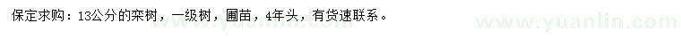 求購13公分欒樹