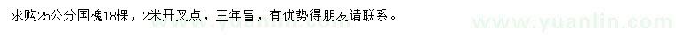 求購25公分國槐