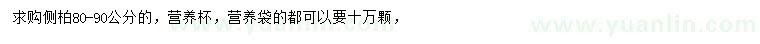 求購(gòu)80-90公分側(cè)柏