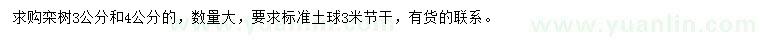 求購3、4公分欒樹