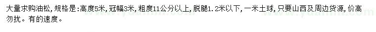 求購(gòu)高5米油松